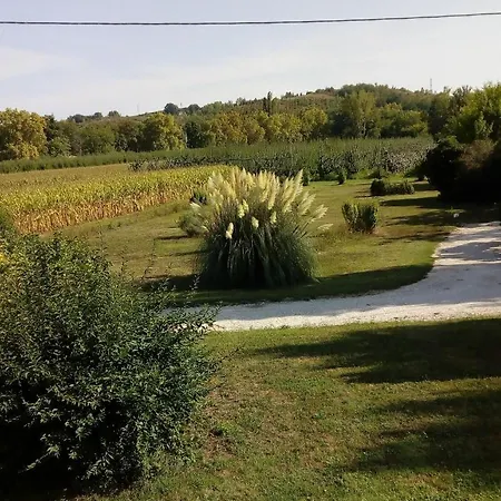 L'espagnette